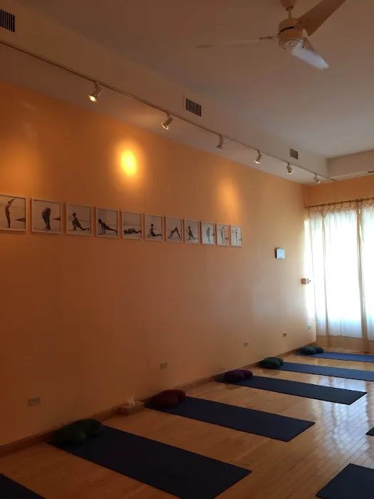 Sivananda Yoga Vedanta Center Picture 9