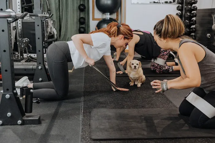 LPM Fitness Picture 2