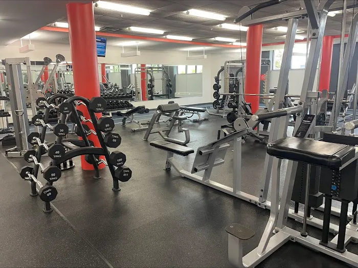 Club Fitness Picture 2