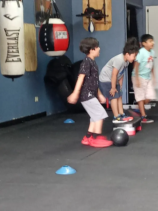 Iron Fist Boxing & Fitness, LLC Picture 1