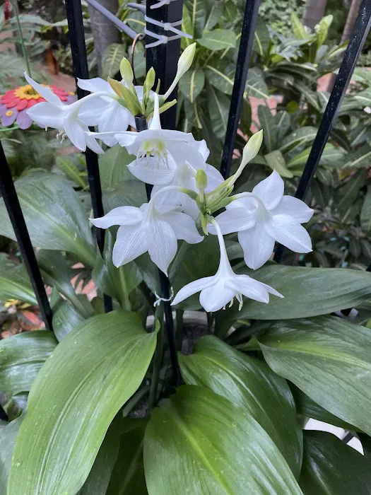 Club Pilates Picture 1