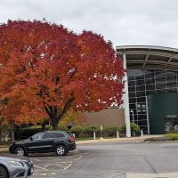 Endeavor Health Fitness & Wellness Center – NCH ico