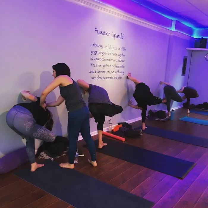 Pulsation Yoga Picture 4