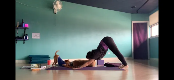 Serenity Willow Picture 7