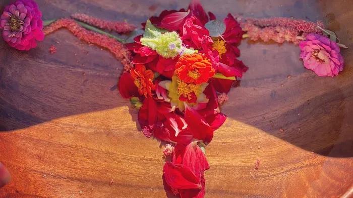 Waking Womb Picture 1