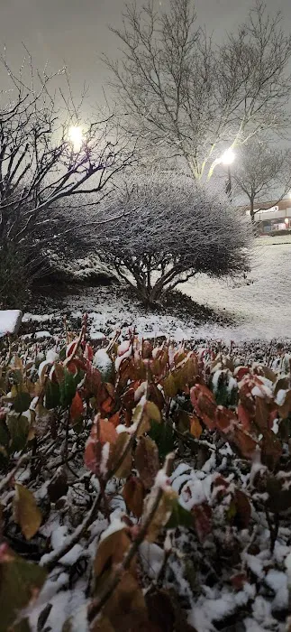 9Round Kickboxing Fitness Picture 4