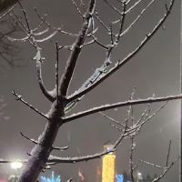 9Round Kickboxing Fitness ico