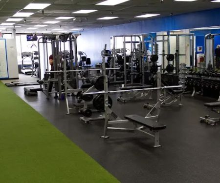 Infinite Fitness