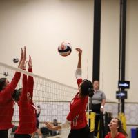 AIM Sports Performance ico