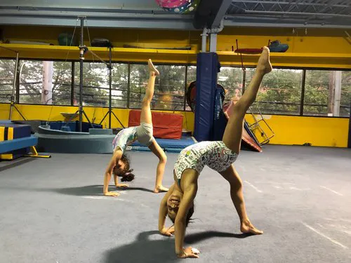Bounce Gymnastics Inc. Picture 4