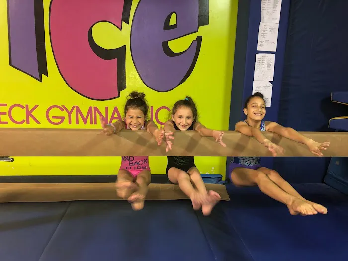 Bounce Gymnastics Inc. Picture 7