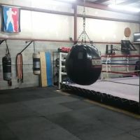 Power Boxing and Fitness, LLC ico