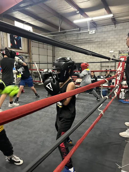 Power Boxing and Fitness, LLC Picture 7