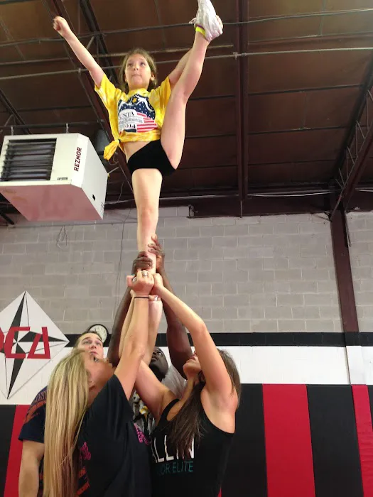 DuPage Cheer & Power Tumbling Picture 3