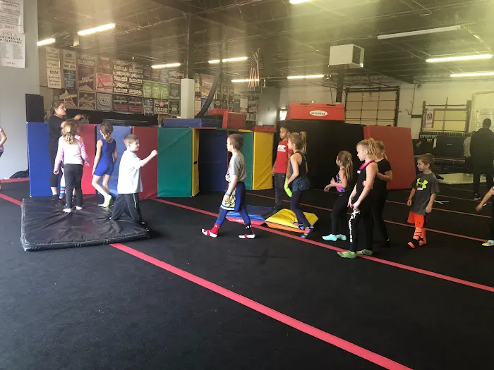 DuPage Cheer & Power Tumbling Picture 4