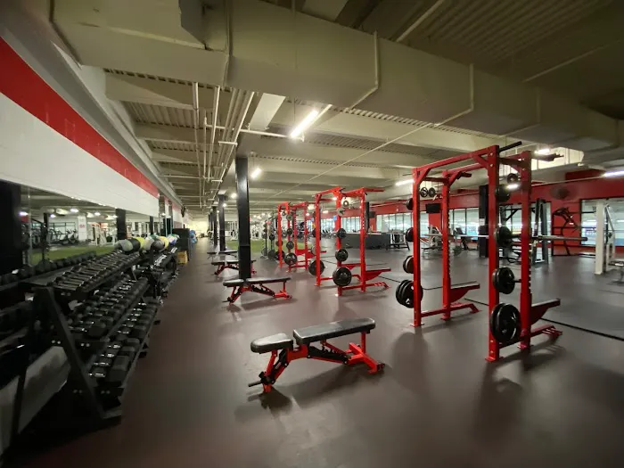 GVN Performance FVIA Picture 3