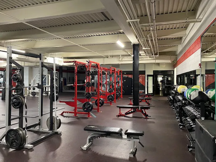 GVN Performance FVIA Picture 4