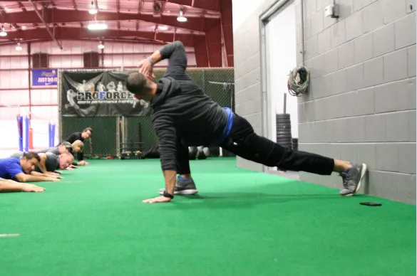 Proforce Performance Training Picture 6
