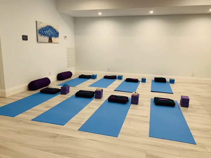 Yoga Mind Li - Great Neck - NY Picture 4