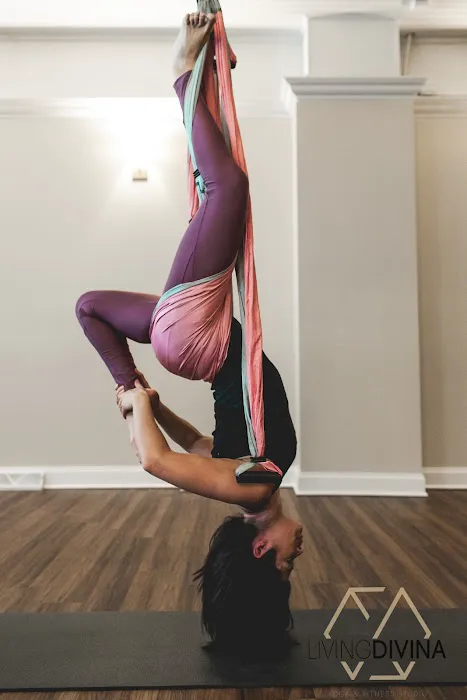 Living Divina Yoga Picture 3