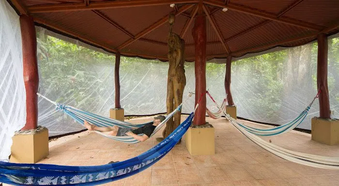 Sense of Samadhi Picture 6