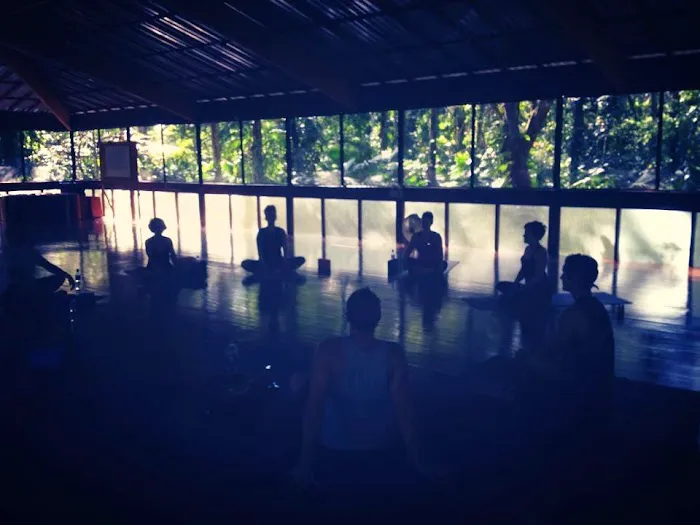 Sense of Samadhi Picture 7