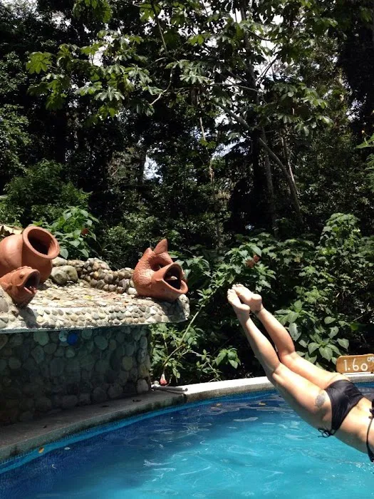 Sense of Samadhi Picture 4