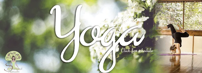 Sense of Samadhi Picture 10