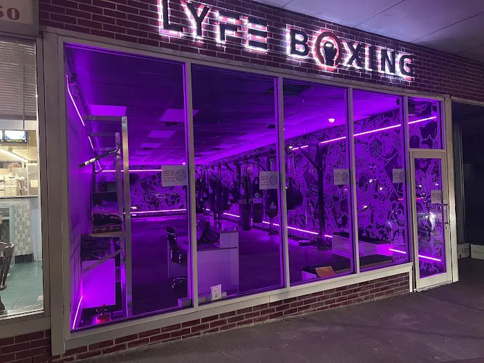 Lyfe Boxing Picture 4