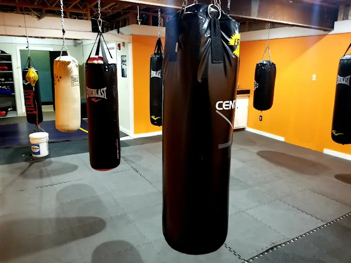 Iron Horse Fitness Club Picture 3