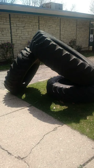 Next Level Fitness & Athletics Picture 7