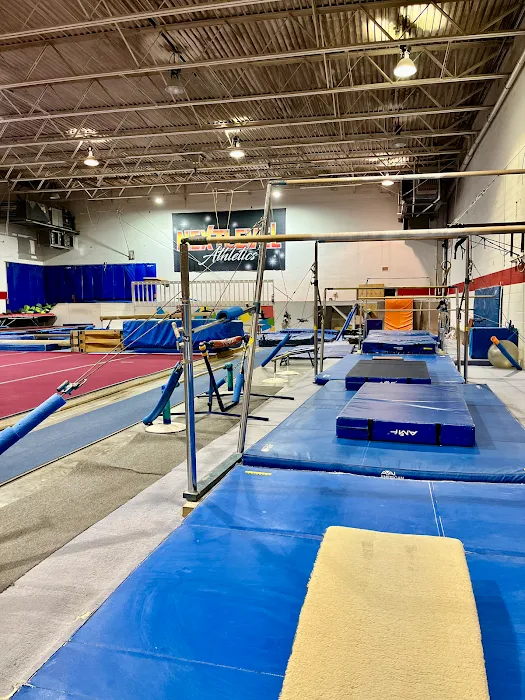 Next Level Fitness & Athletics Picture 9