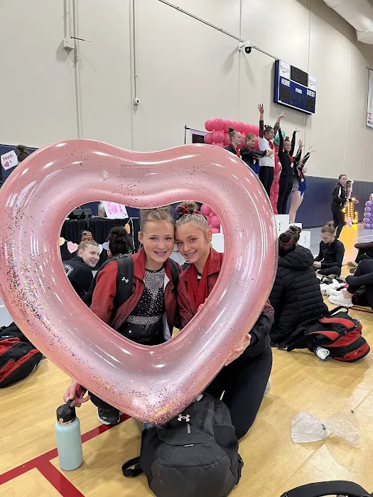 Quad City Gymnastics Academy Picture 2