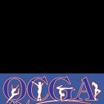 Quad City Gymnastics Academy