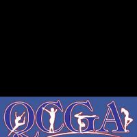 Quad City Gymnastics Academy ico