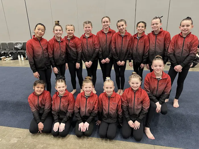 Quad City Gymnastics Academy Picture 3