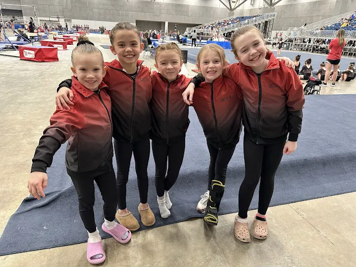 Quad City Gymnastics Academy Picture 4