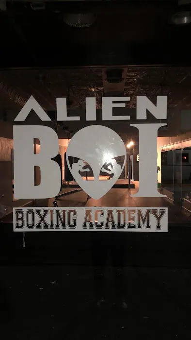 Alienboi Boxing Academy Picture 7