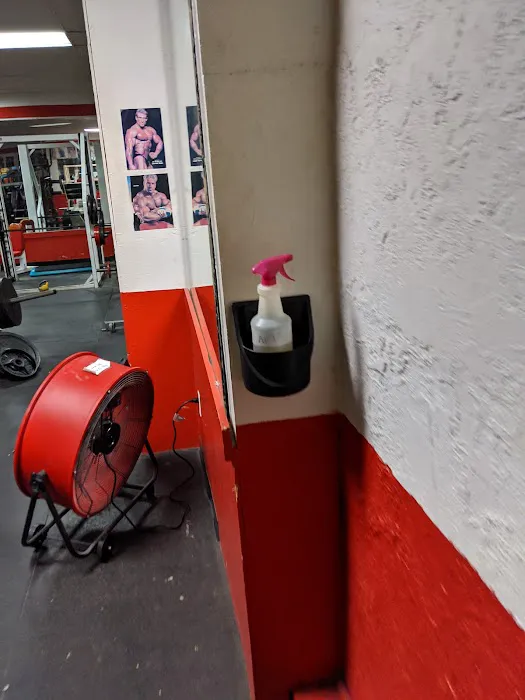 American Family Fitness Picture 2