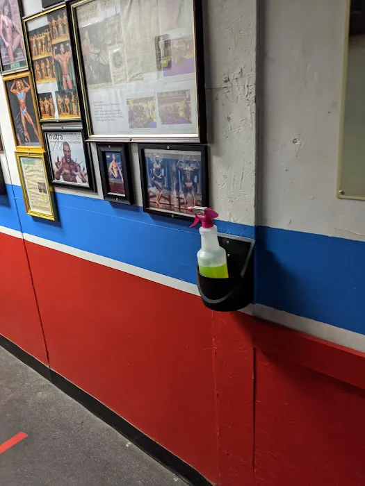 American Family Fitness Picture 4