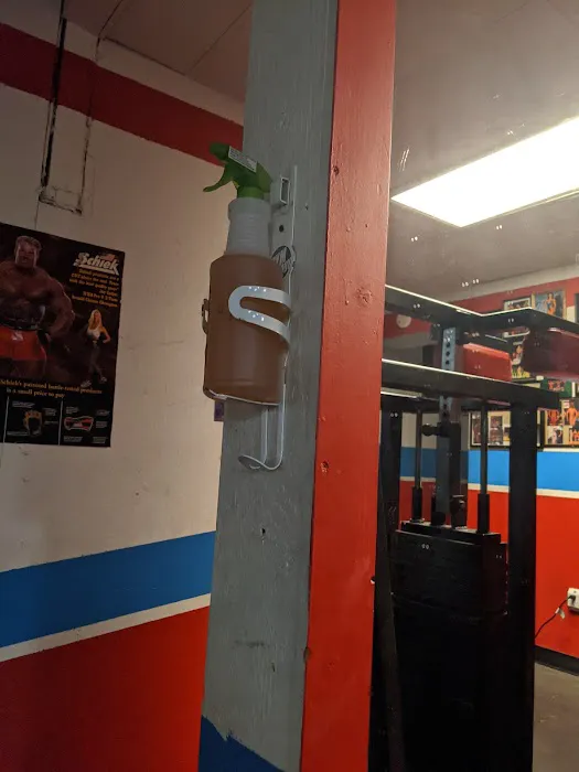 American Family Fitness Picture 5