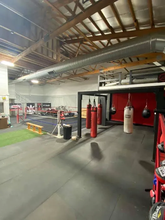 Lead Right Boxing Picture 2