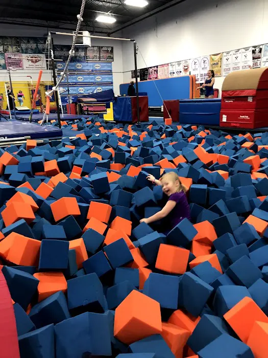 Pride of Illinois Collinsville - Gymnastics and Cheerleading Picture 4