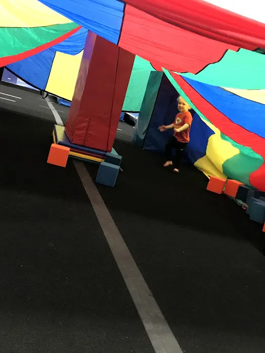 Pride of Illinois Collinsville - Gymnastics and Cheerleading Picture 3