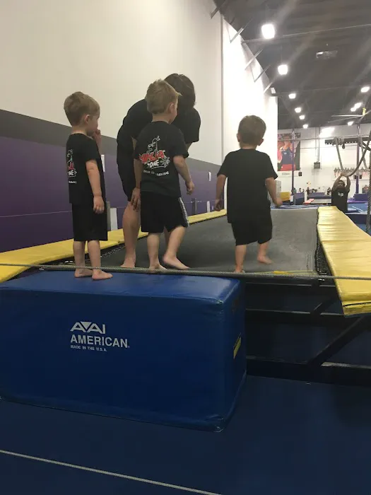 Clarksville Elite Gymnastics Center Picture 9