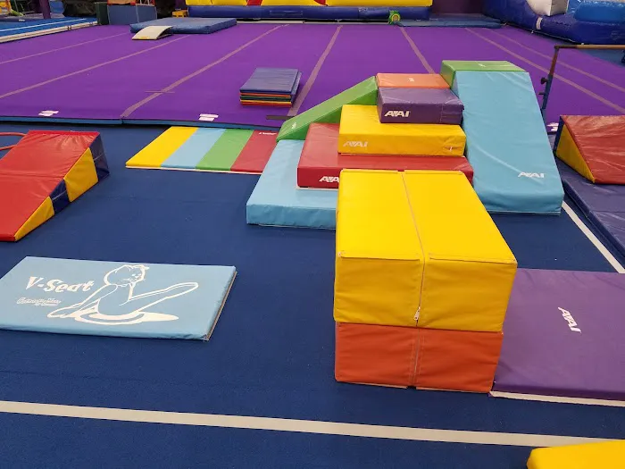 Clarksville Elite Gymnastics Center Picture 6