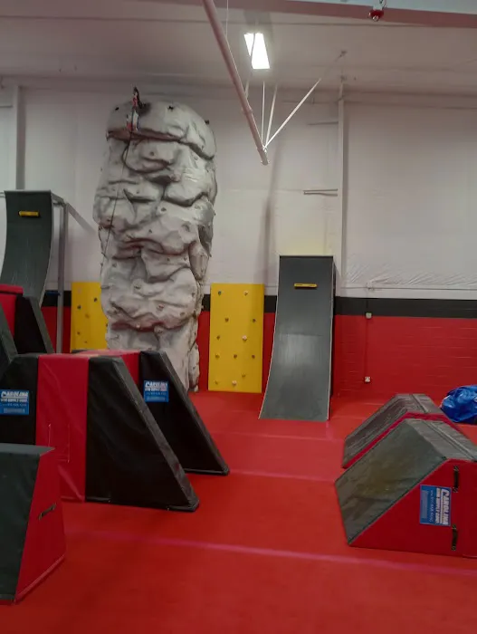 Clarksville Elite Gymnastics Center Picture 3