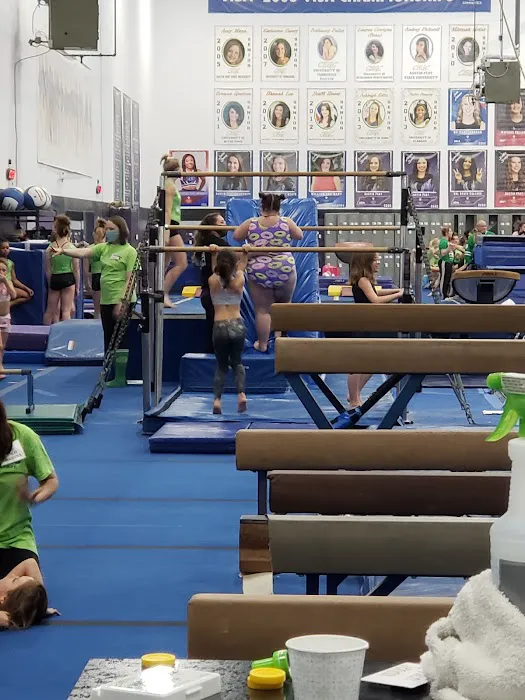 Clarksville Elite Gymnastics Center Picture 10