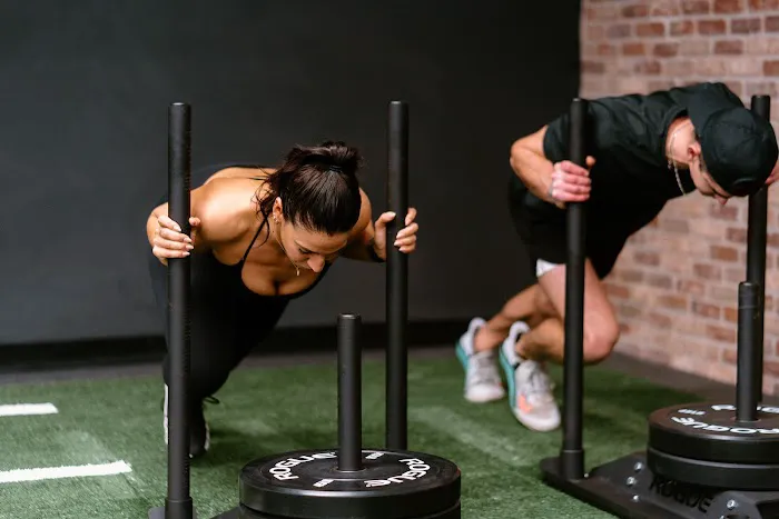 Fox Training Studio Picture 2