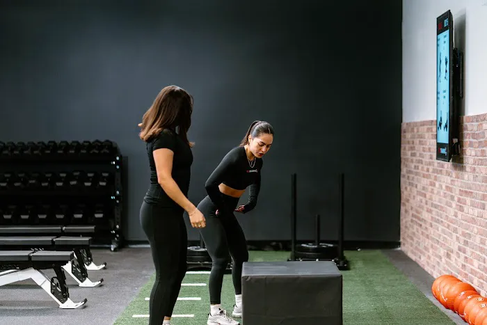 Fox Training Studio Picture 10